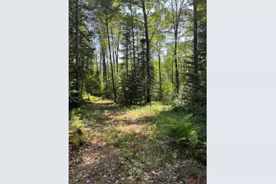 524 Lear Hill Road, Unity, NH 03773 - Photo 17