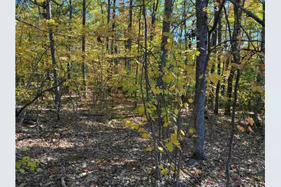 00 Redding Lane, Moultonborough, NH 03254 - Photo 7