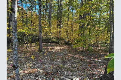 00 Redding Lane, Moultonborough, NH 03254 - Photo 5