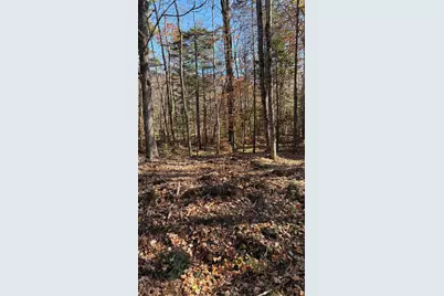 153 Moulton Hill Road, Lyman, NH 03585 - Photo 5