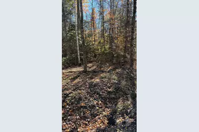 153 Moulton Hill Road, Lyman, NH 03585 - Photo 3