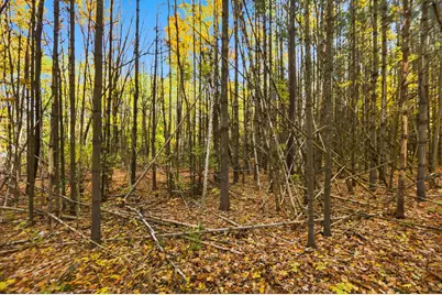 115 Watson Road, Gilford, NH 03249 - Photo 19