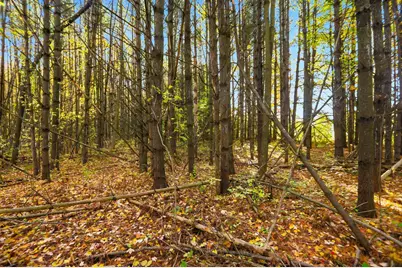 115 Watson Road, Gilford, NH 03249 - Photo 21