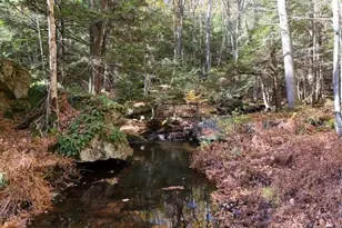128 Curtis Brook Rd, Lyndeborough, NH 03082 - Photo 25