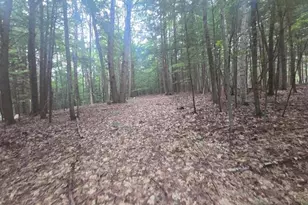 Map 09 Lot 30 Gould Pond Rd, Hillsboro, NH 03244 - Photo 1