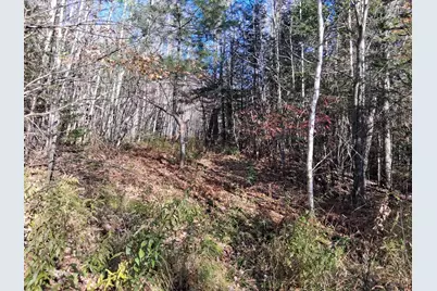 0 Bell Hill Road, Stark, NH 03582 - Photo 5