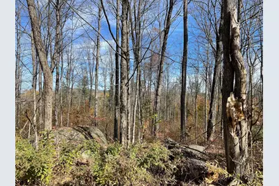 00 Turner Hill Road, Antrim, NH 03440 - Photo 5