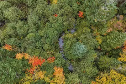 0  Manns Hill Road #Map 17 Lot 1, Littleton, NH 03561 - Photo 15