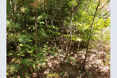 Fenn Way Circle #29, Bath, NH 03740 - Photo 13