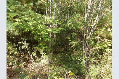Fenn Way Circle #29, Bath, NH 03740 - Photo 11