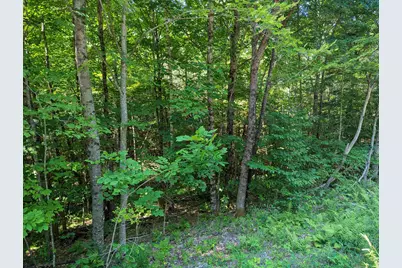202-251 Swiftwater Circle, Haverhill, NH 03765 - Photo 11