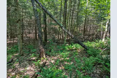 202-251 Swiftwater Circle, Haverhill, NH 03765 - Photo 13
