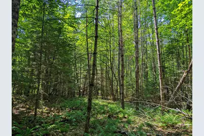202-252 Swiftwater Circle, Haverhill, NH 03765 - Photo 15
