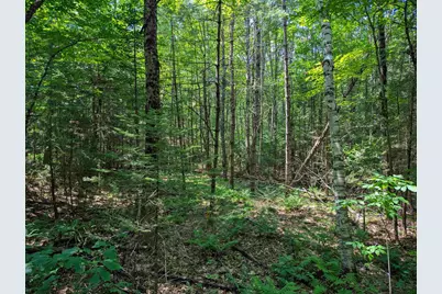 202-252 Swiftwater Circle, Haverhill, NH 03765 - Photo 13
