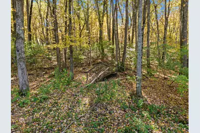 5 Hovey Meadow Road, Atkinson, NH 03811 - Photo 45