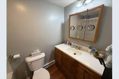 48 Linderhof Golf Course Road #1, Bartlett, NH 03838 - Photo 19