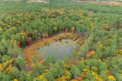 154 Tyler Road, Webster, NH 03303 - Photo 11