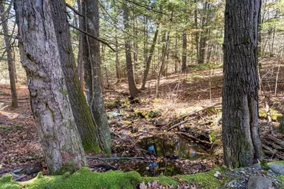 99 Indian Road, Weare, NH 03281 - Photo 21