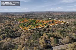 56 Harvey Rd, Deerfield, NH 03037 - Photo 53