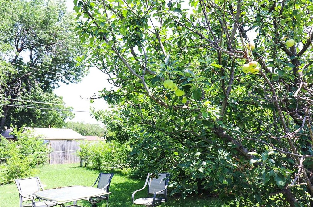 1431 Alta Vis St, Mesquite TX 75149-2312 exterior