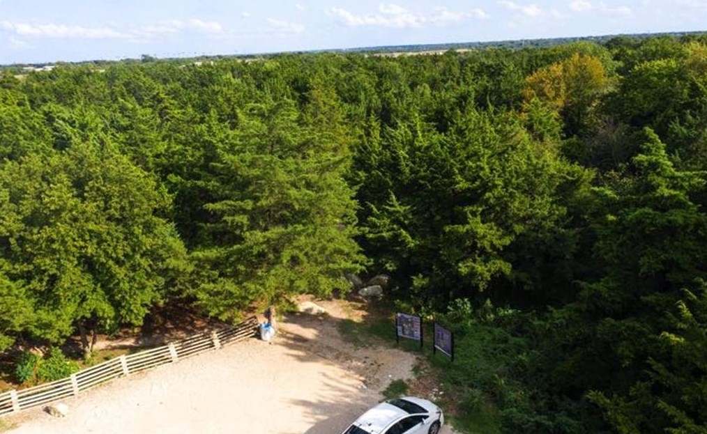 1603 Wilbur St, Dallas TX 75224-1612 exterior