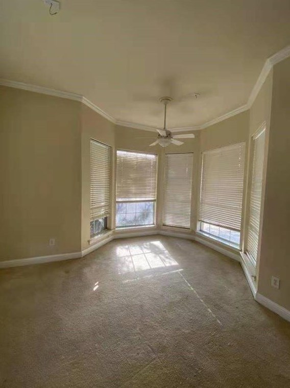 4833 Holly Berry Dr, Plano TX  75093-7335 exterior