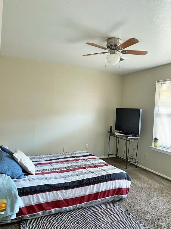 313 Sesame Dr, Mesquite TX 75149-2921 exterior