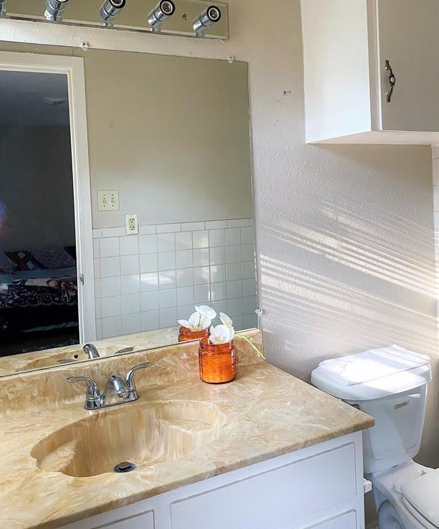 313 Sesame Dr, Mesquite TX 75149-2921 exterior