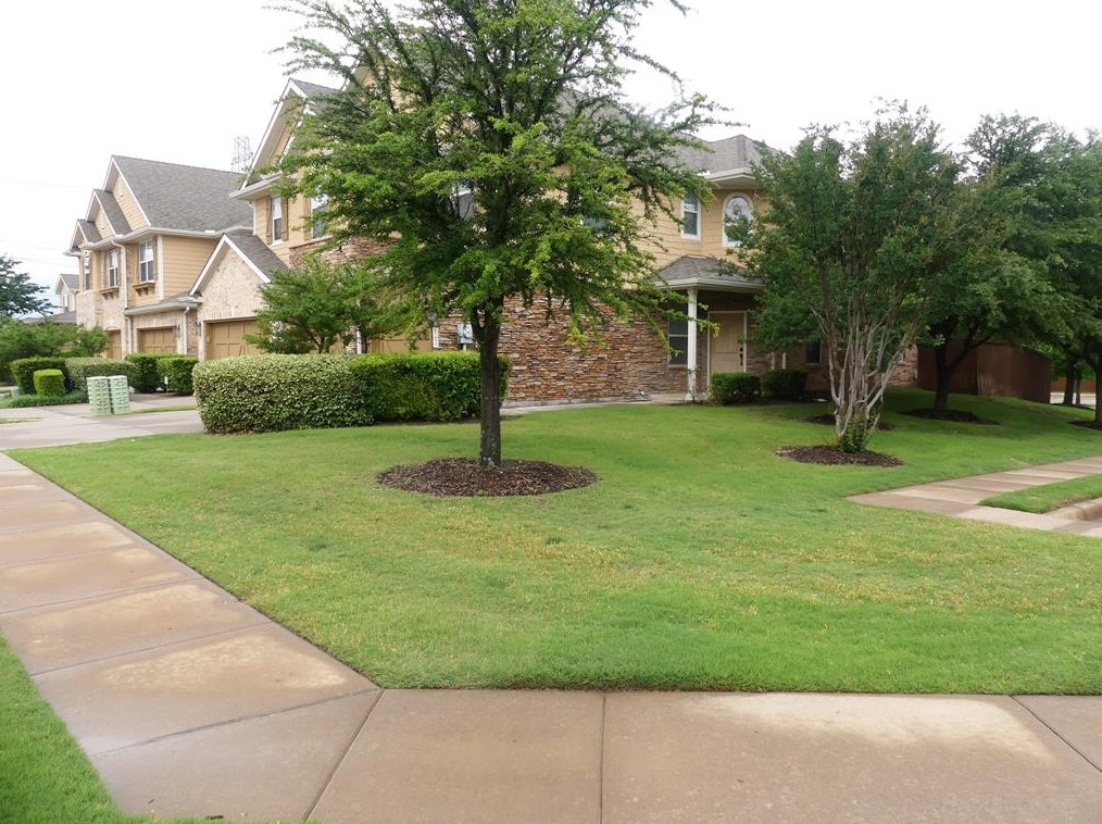 6200 Texana Way, Plano TX  75074-2075 exterior