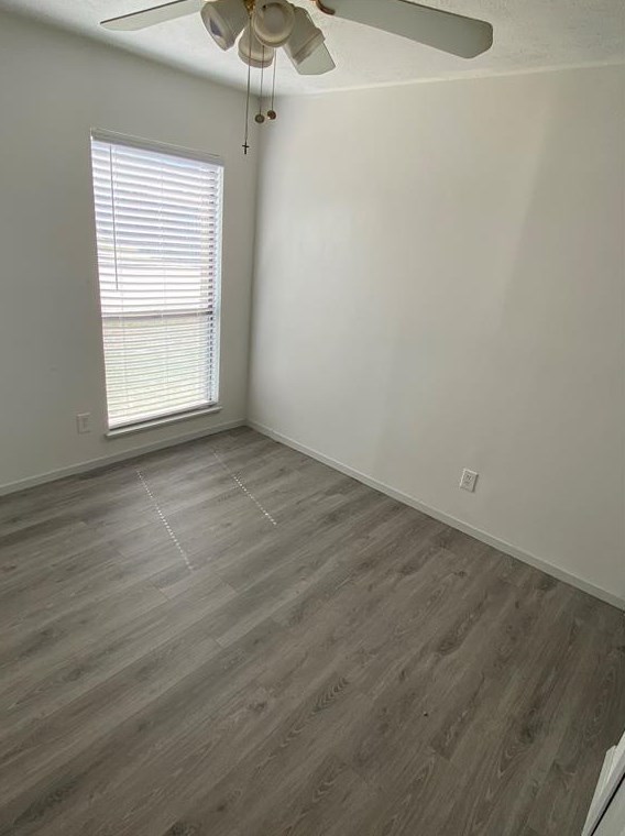 2901 Gayle Dr, Garland, TX 75044