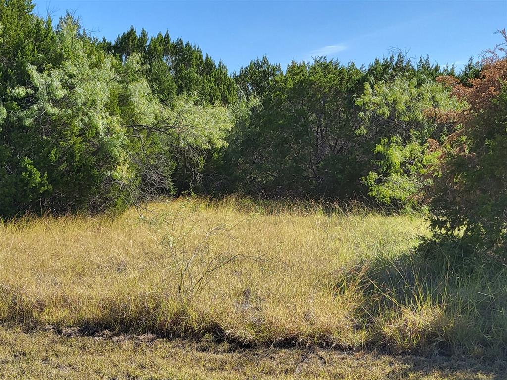 36046 Cedar Ridge Dr, Whitney, TX 76692 MLS 20191286 Coldwell Banker