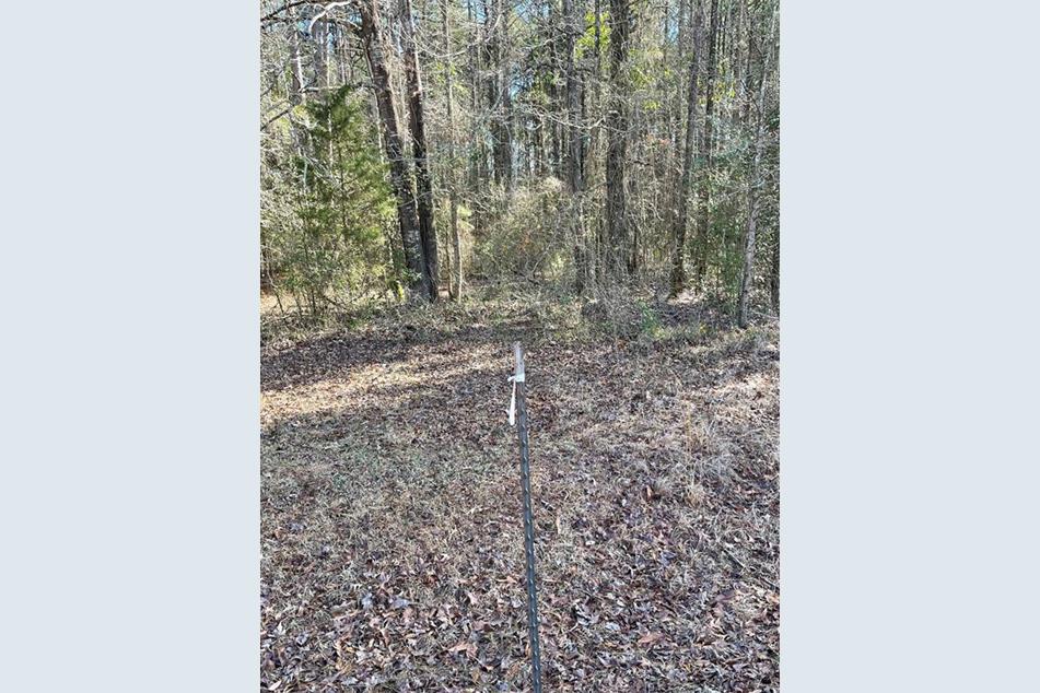 Tbd Crouch Rd, Benton, LA 71106 MLS 20256582 Coldwell Banker