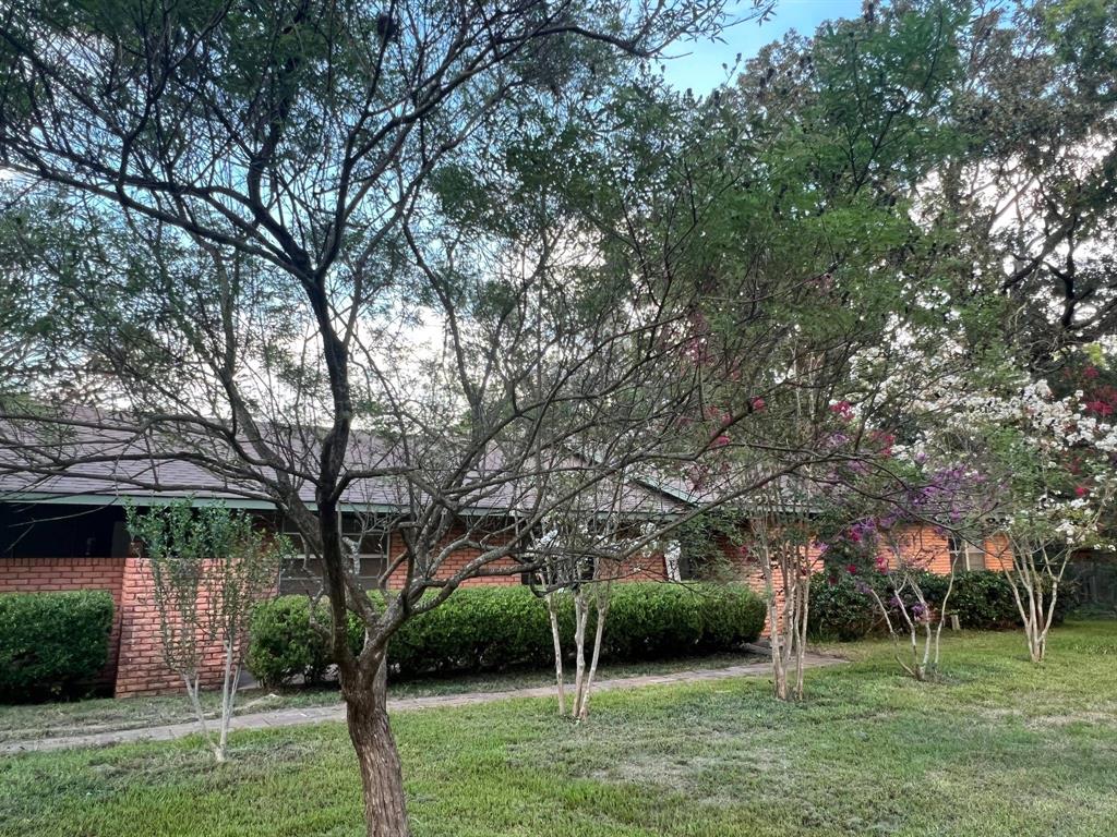 1827 Palmetto Rd, Benton, LA 71006 MLS 20196520 Coldwell Banker