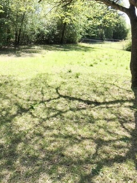 2136 Rosier Rd, Augusta GA 30906-5608 exterior