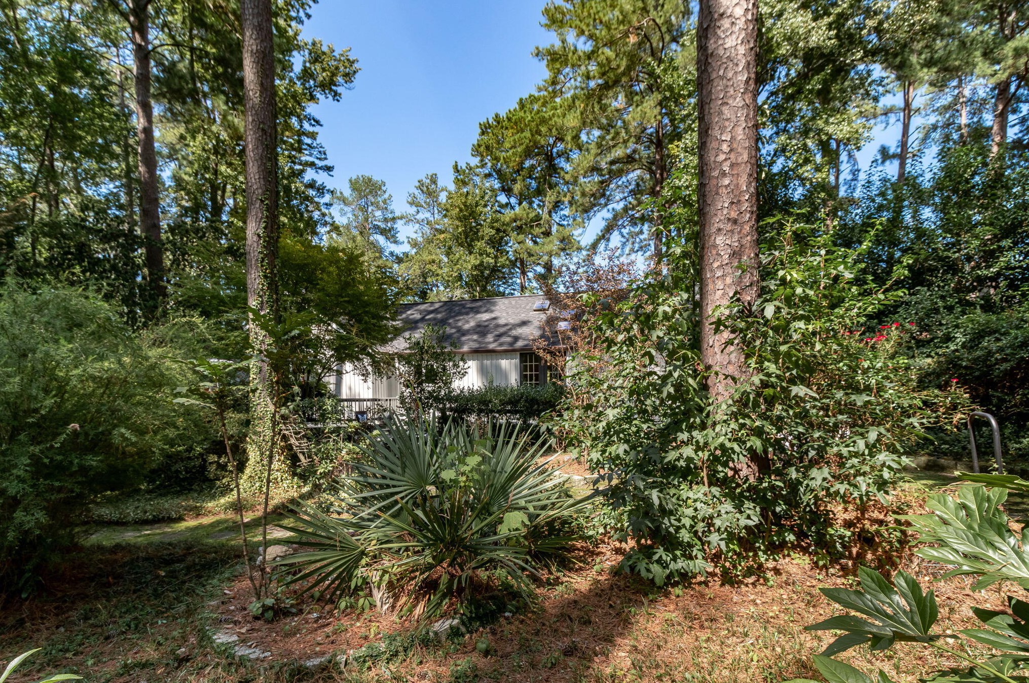 3016 Walton Way, Augusta GA 30909 exterior