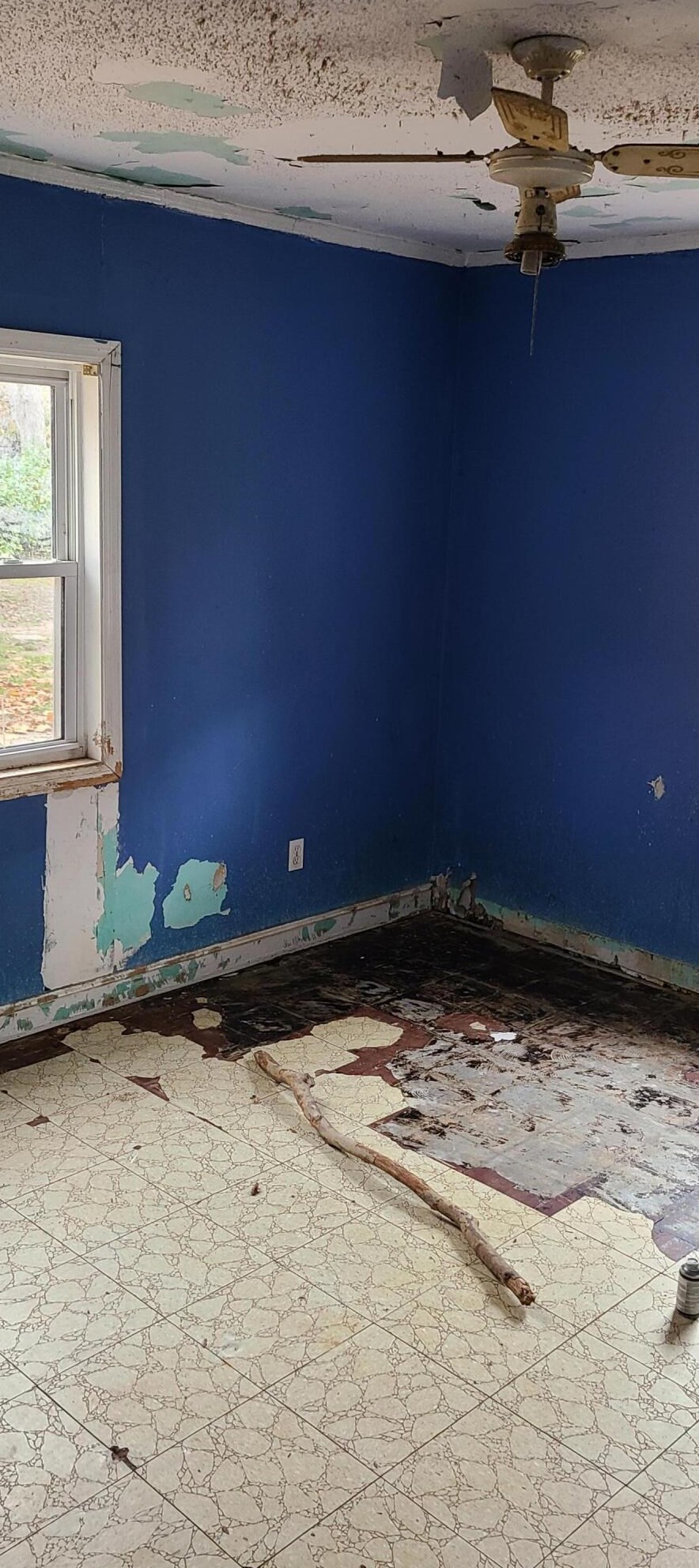 2054 Edgar St, Augusta GA  30904-3049 exterior