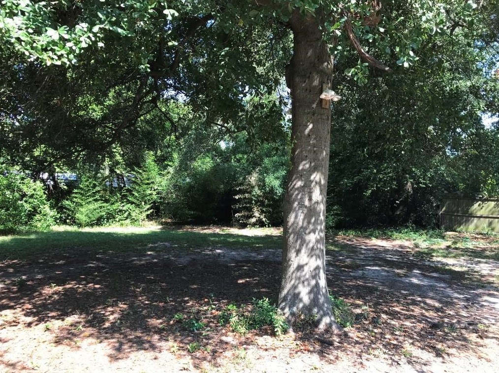 711 Eve St, Augusta GA  30904-4244 exterior