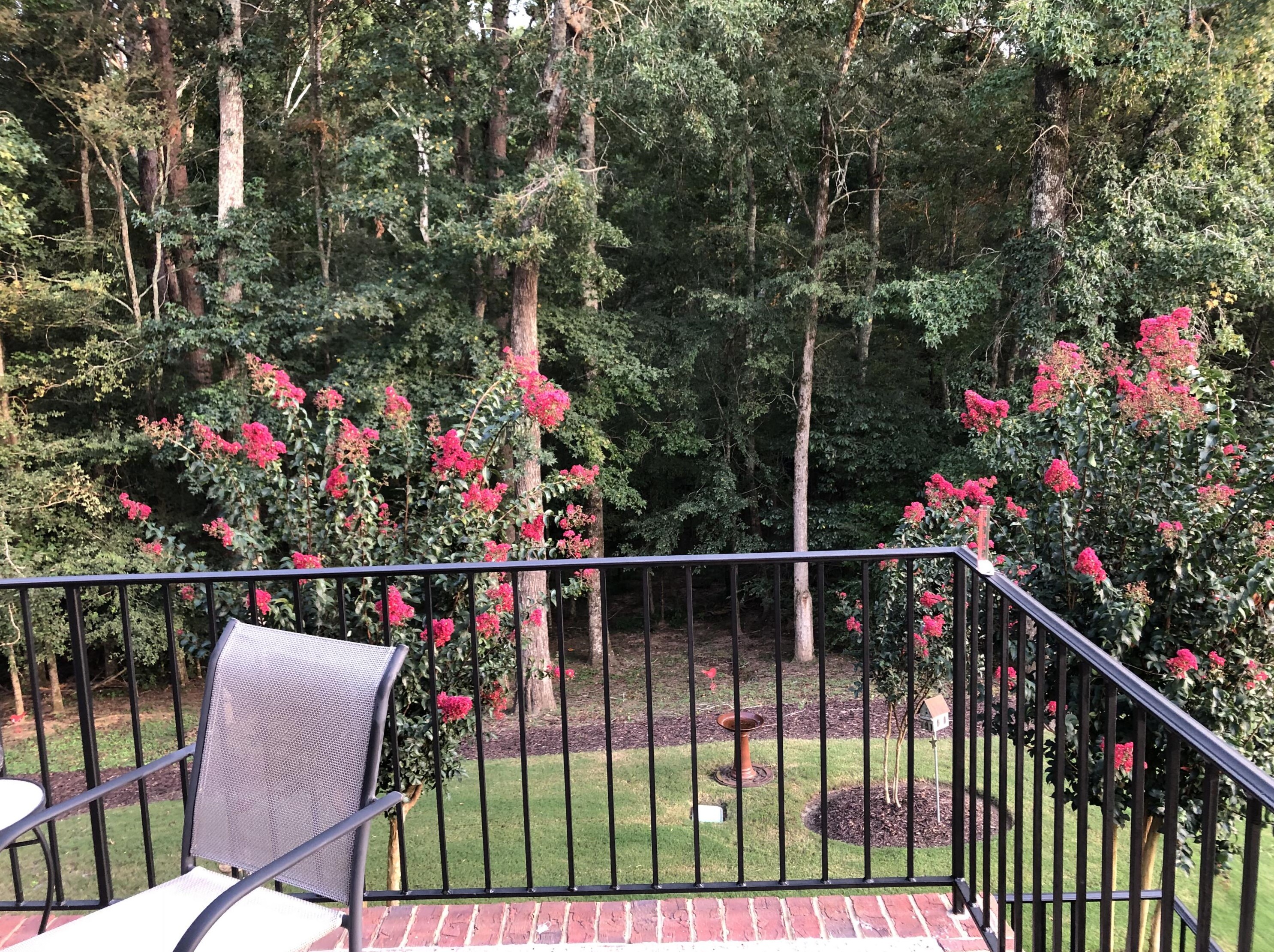 75 Dry Branch Way, North Augusta SC  29860-7561 exterior