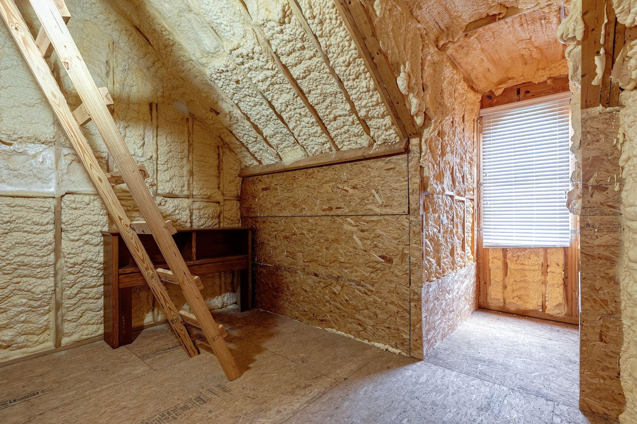 258 Altamaha Dr, North Augusta SC  29841-5411 exterior