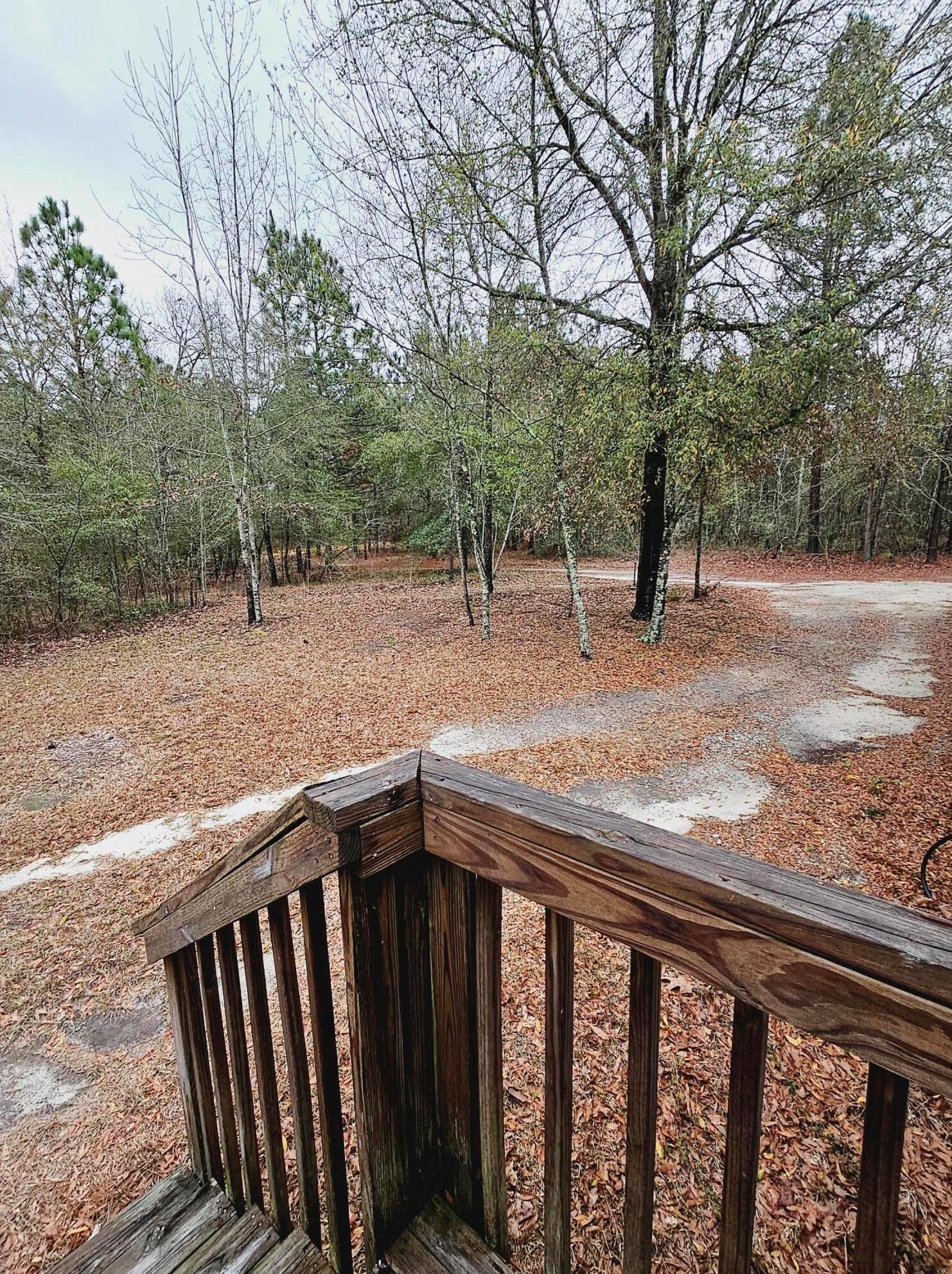 307 Riverside Dr, Shell Bluff GA  30830-2934 exterior