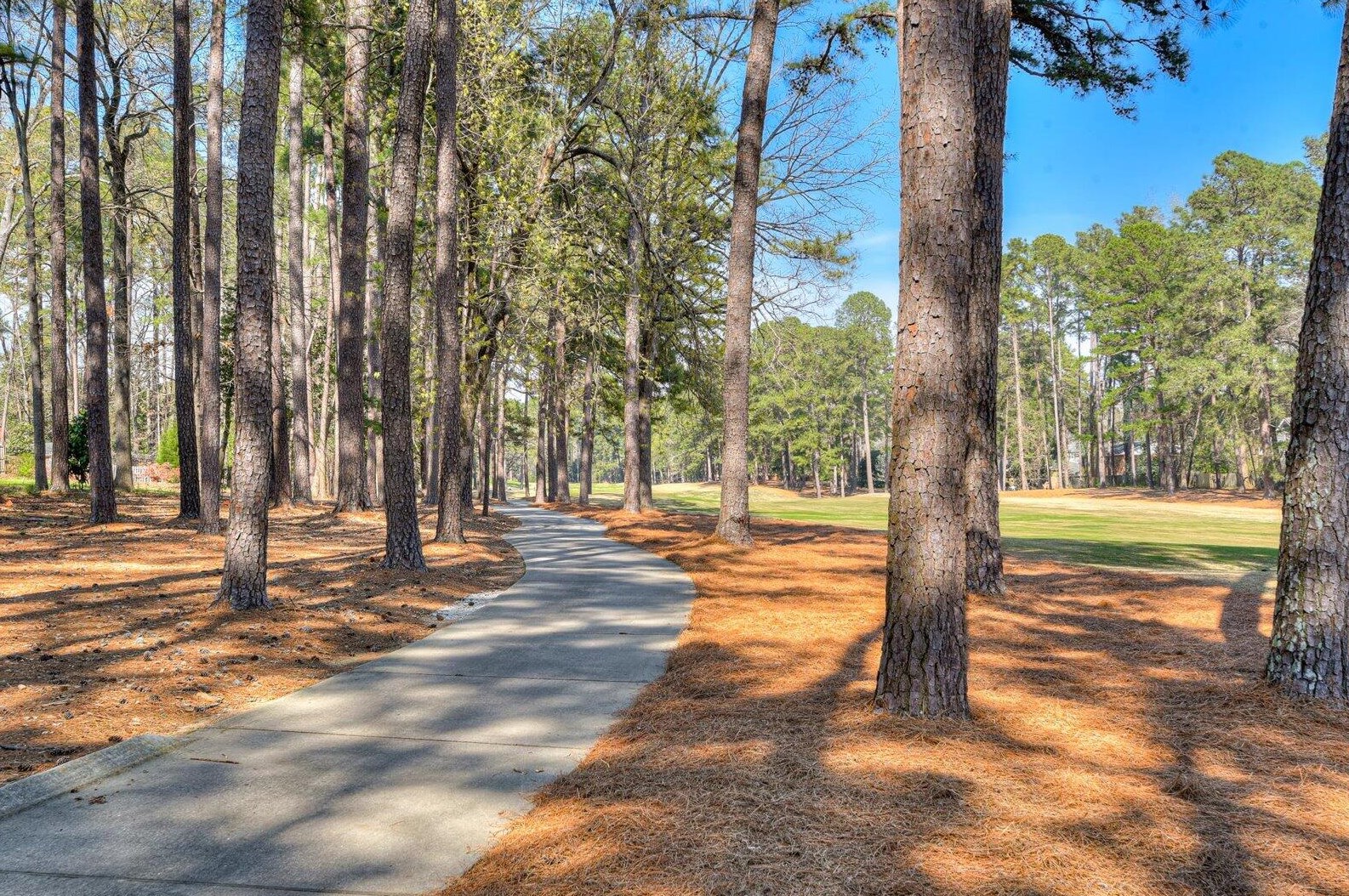 3571 Pebble Bch Dr, Augusta GA 30907-9085 exterior