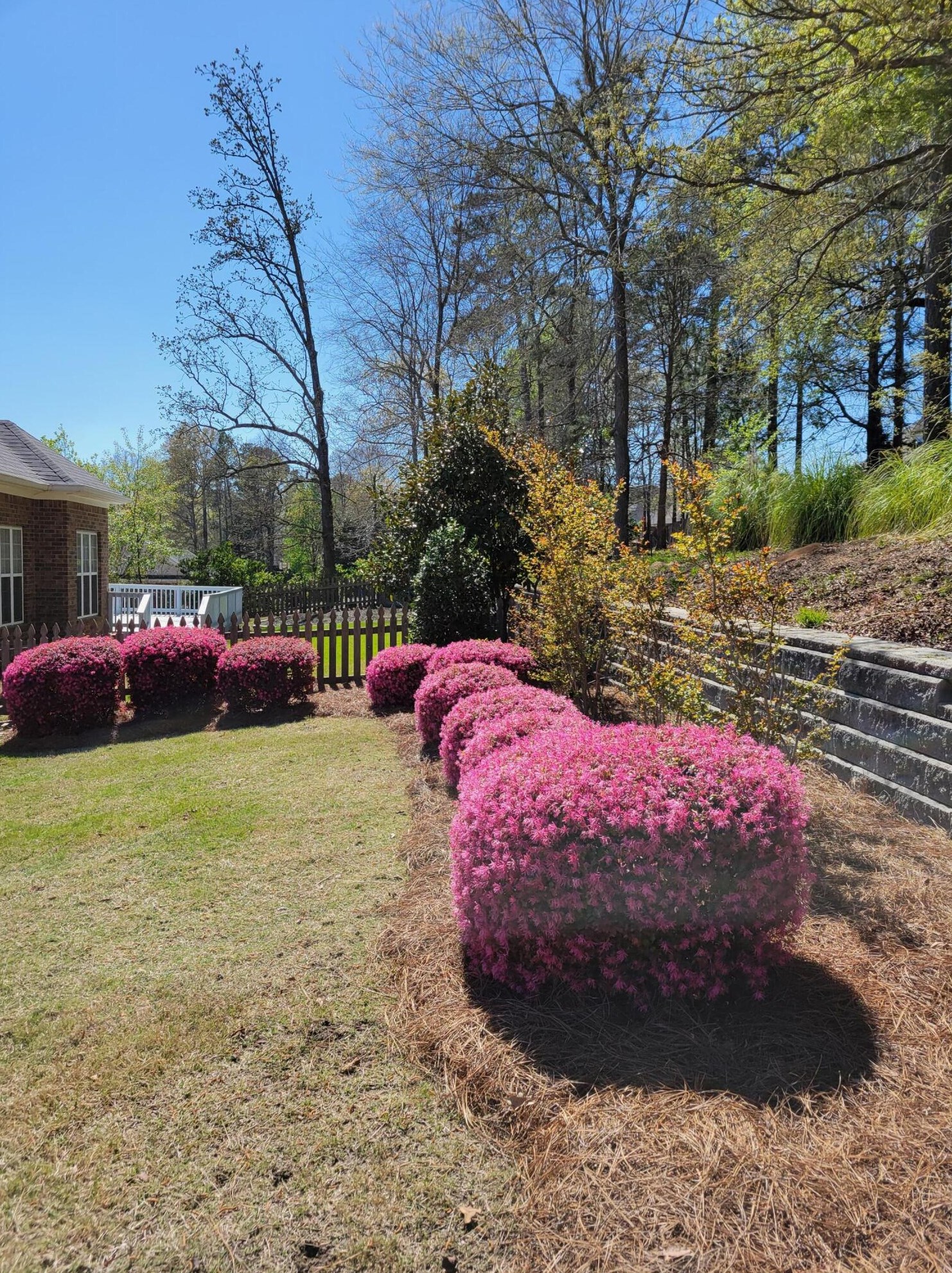 500 Northlands Ln, Evans GA  30809-6695 exterior