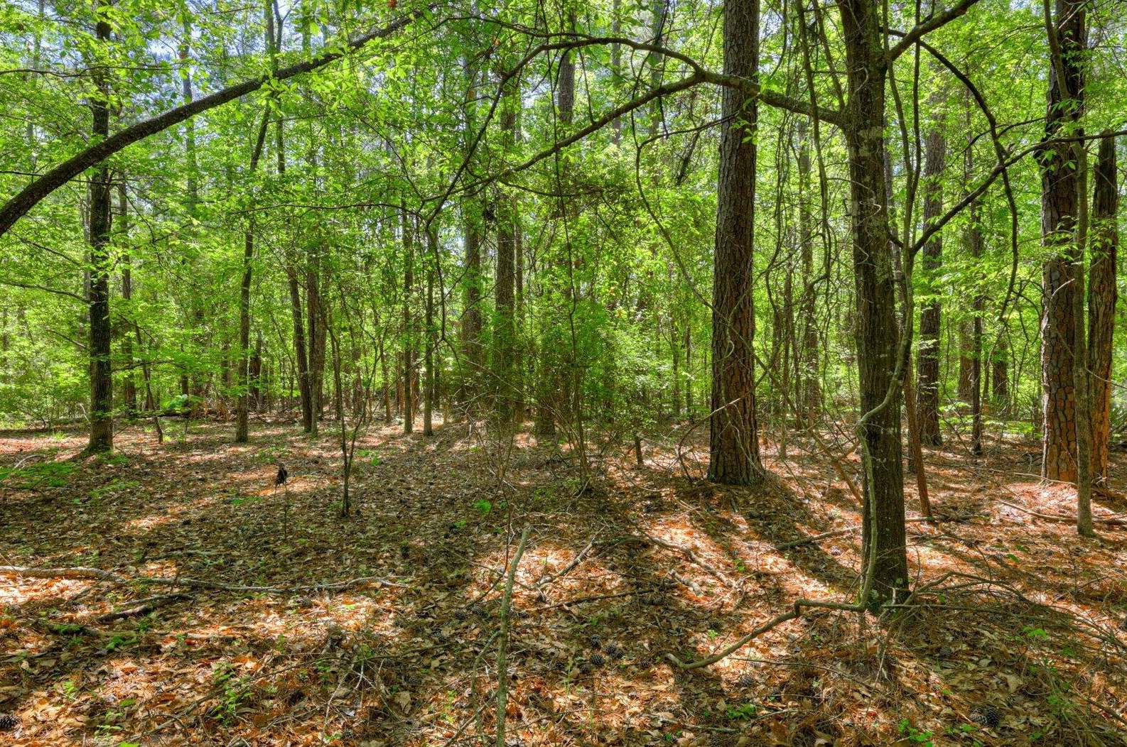 5174 Fairington Dr, Evans GA  30809-7012 exterior