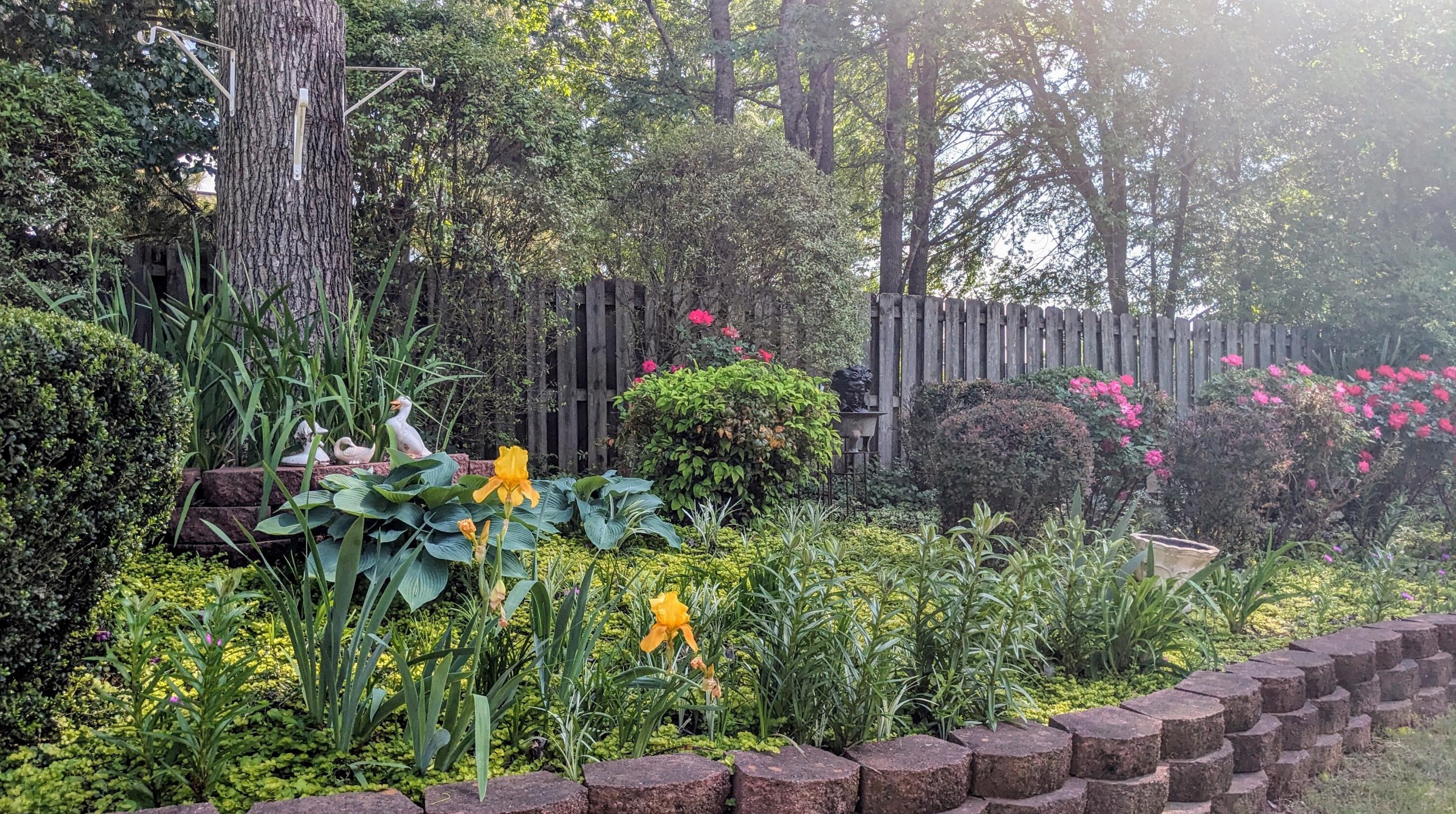 989 Windmill Pkwy, Evans GA  30809-6666 exterior