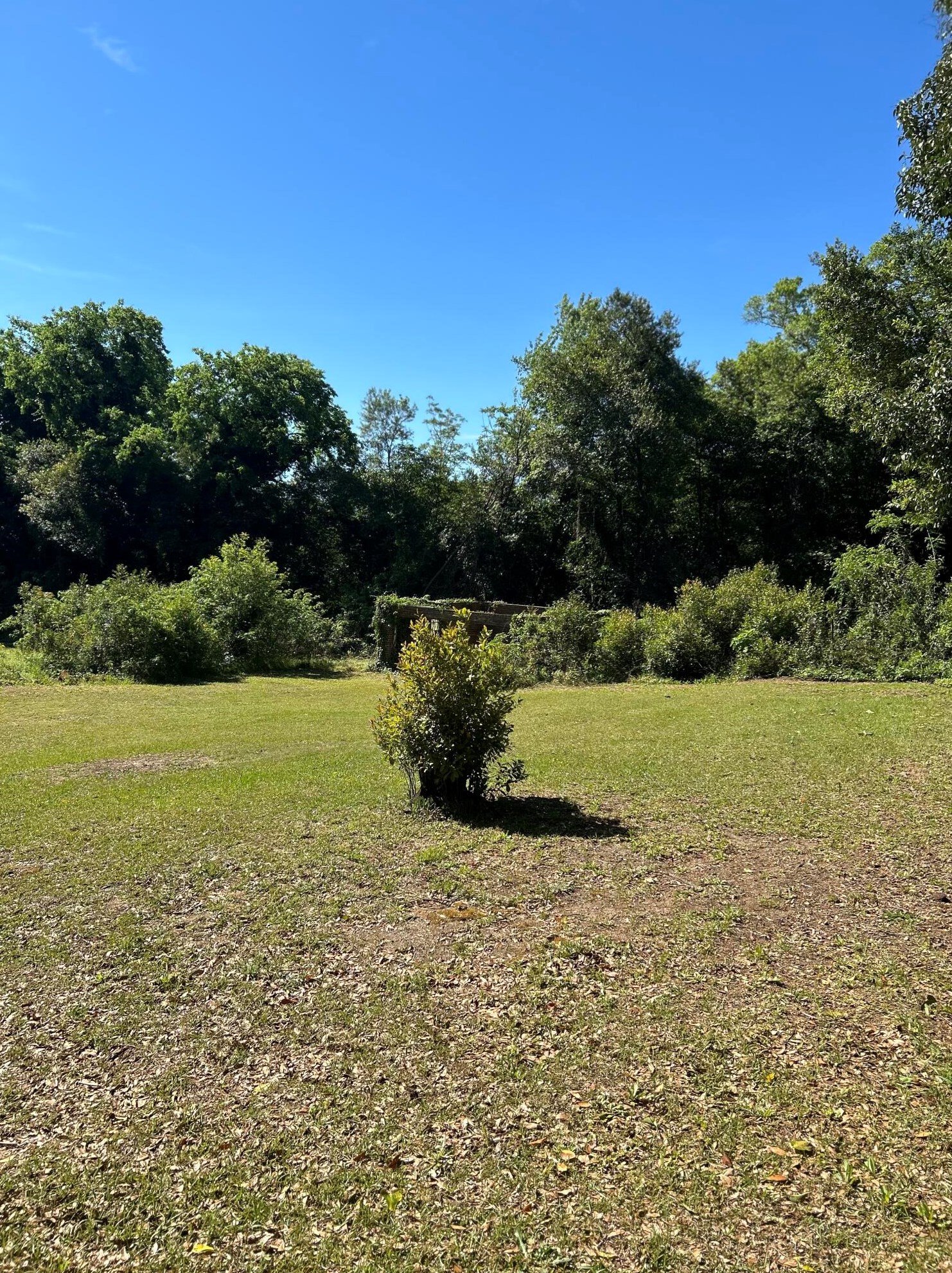 2024 Wrightsboro Rd, Augusta GA 30904-7603 exterior