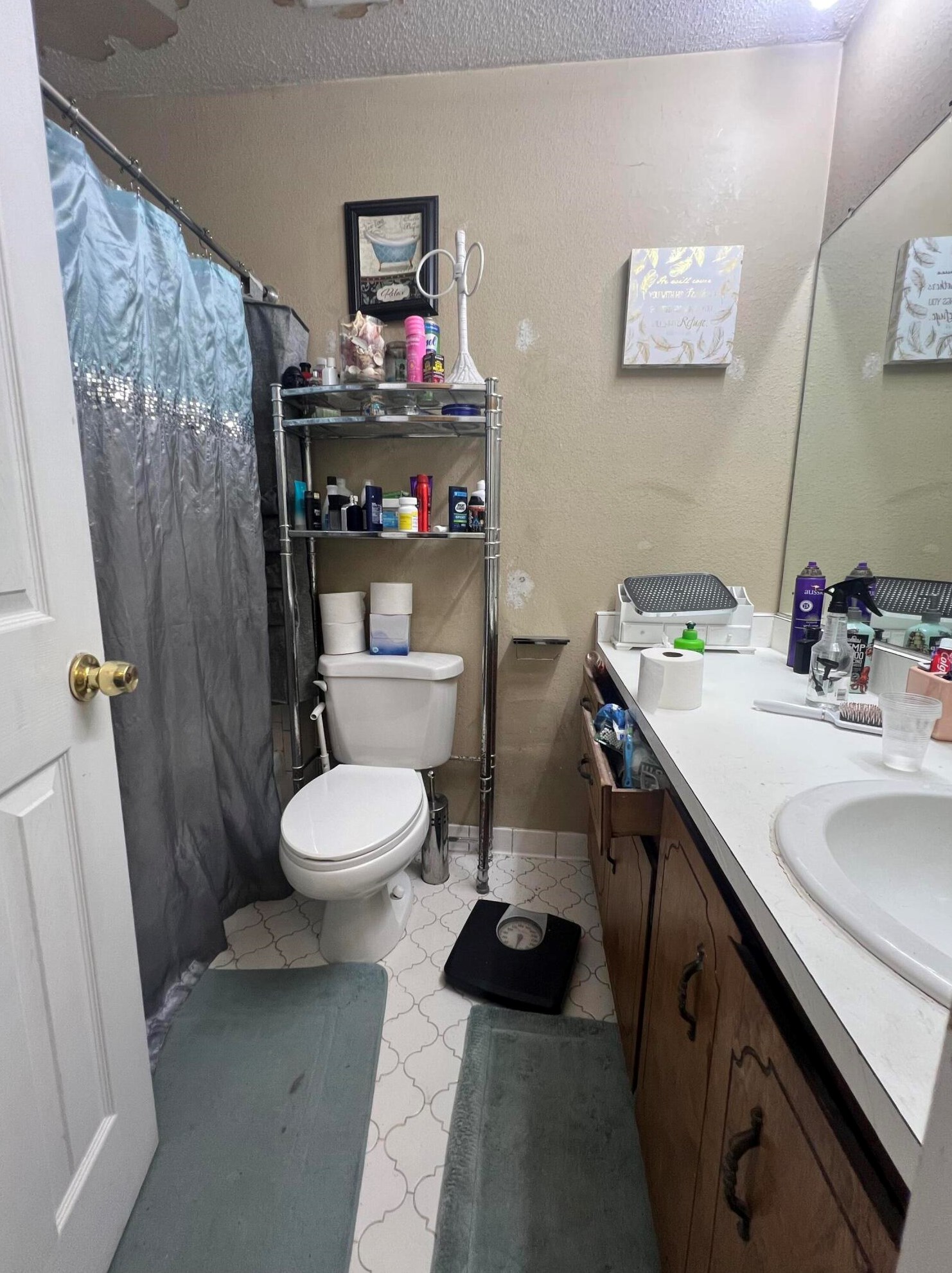 4439 Forrest Dr, Augusta GA 30907-1583 exterior