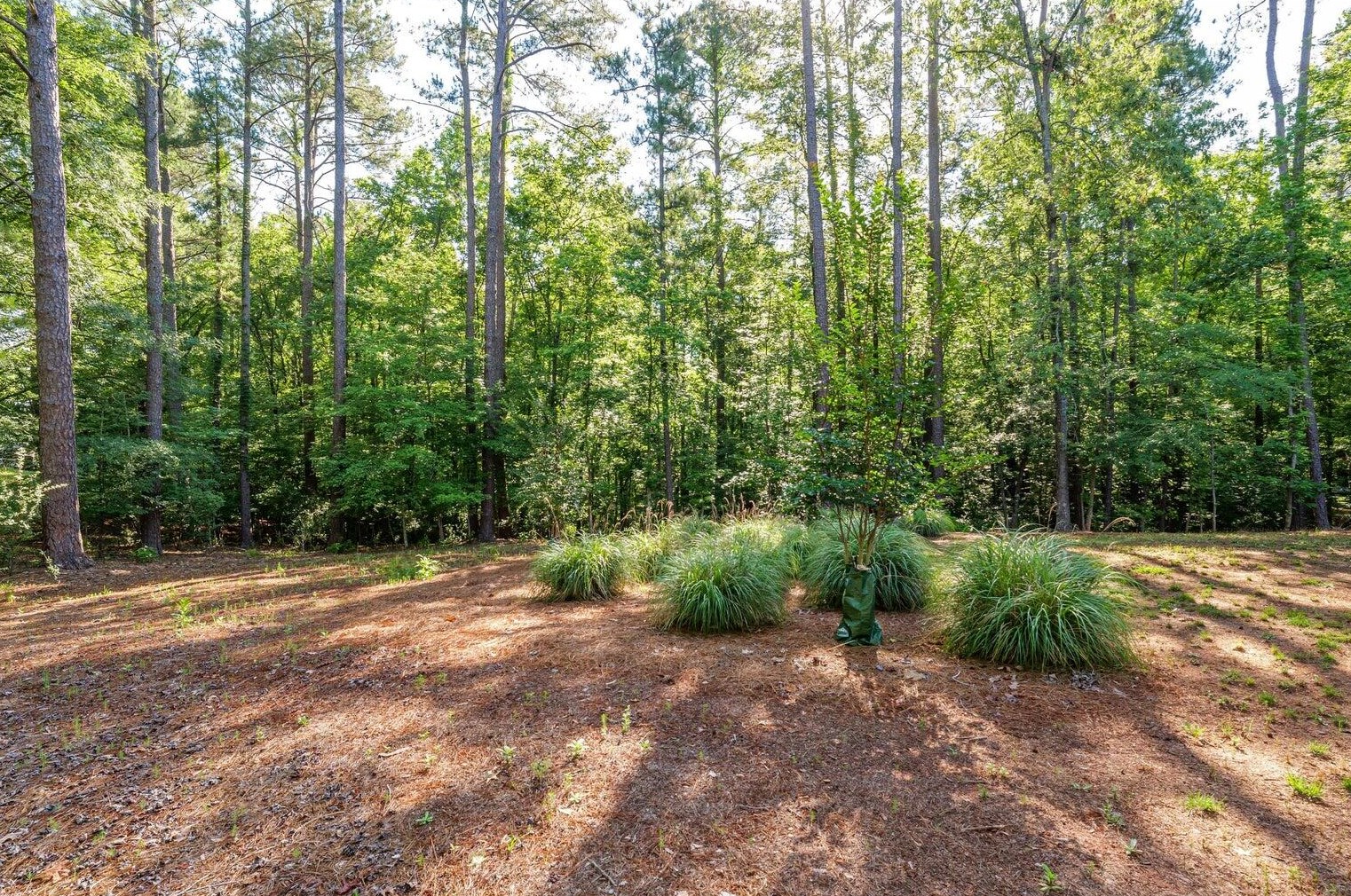 4111 Rivermont Dr, Evans GA  30809-4862 exterior
