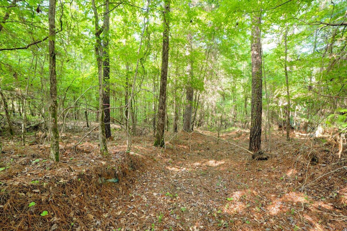 00 Tubman Rd, Appling, GA 30802 MLS 515060 Coldwell Banker