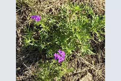 281 Oak Rd, Harper, TX 78631 - Photo 25