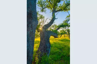 Tract 5 Wine Trail Dr, Johnson City, TX 78636 - Photo 9